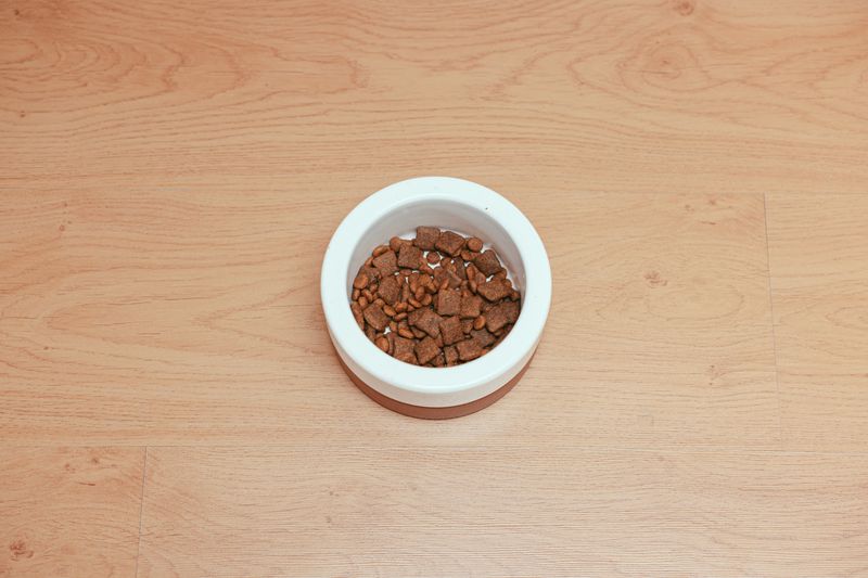 犬用のミートローフ